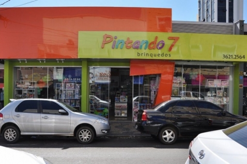 Pintando 7 Brinquedos